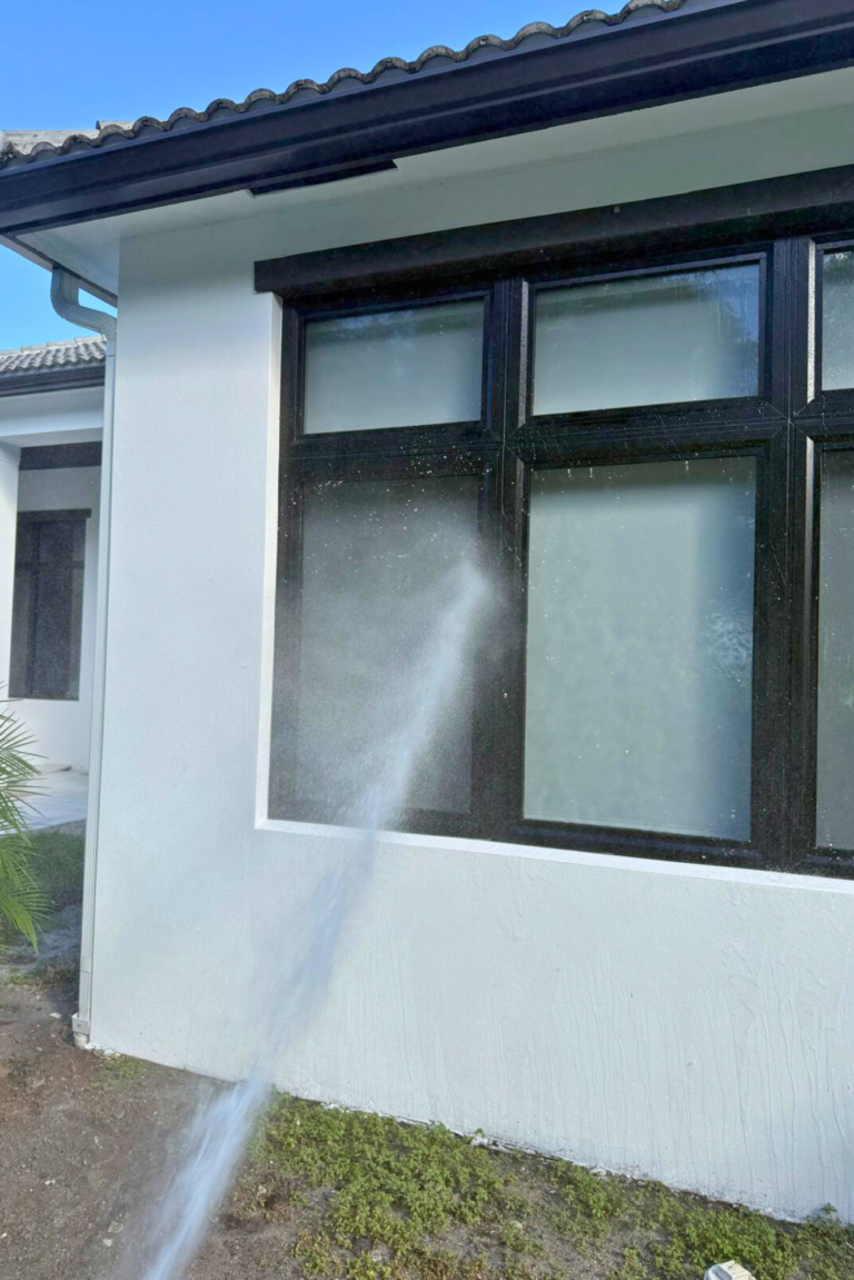 Soft Washing